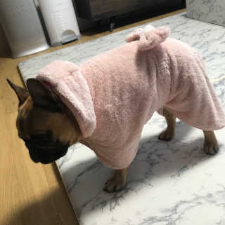 따리님이 올린 리뷰 사진 2