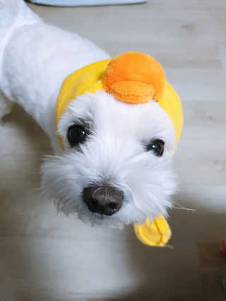 황선아님이 올린 리뷰 사진 3
