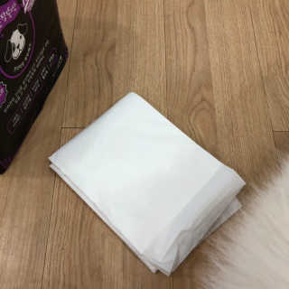 펫토리아 한장뚝딱 NEW 프리미엄 국내산 배변패드 — 5점을 준 리뷰어가 2019년 5월 올린 사용 사진