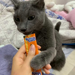 꽃길만걷자탄아님이 올린 리뷰 사진 4