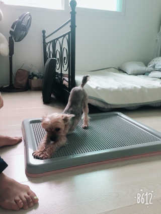 아라아빠님이 올린 리뷰 사진 2