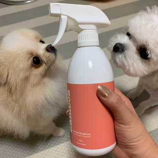 어거스트비님이 올린 리뷰 사진 4