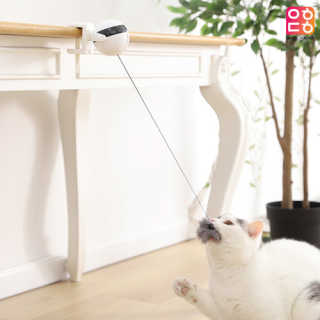 킴귤님이 올린 리뷰 사진 4