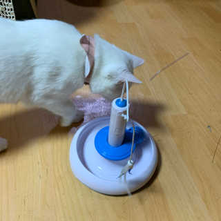 쮸야님이 올린 리뷰 사진 2