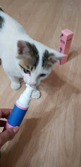 쭈하님이 올린 리뷰 사진 1