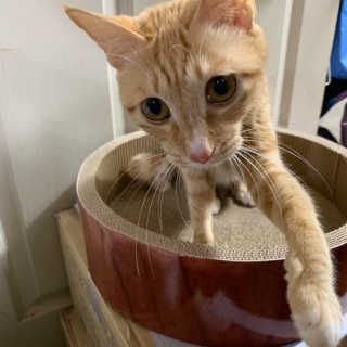 르네링님이 올린 리뷰 사진 1