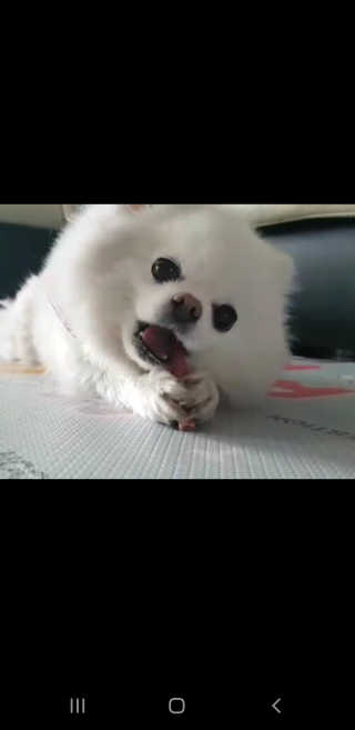 초초님이 올린 리뷰 사진 1