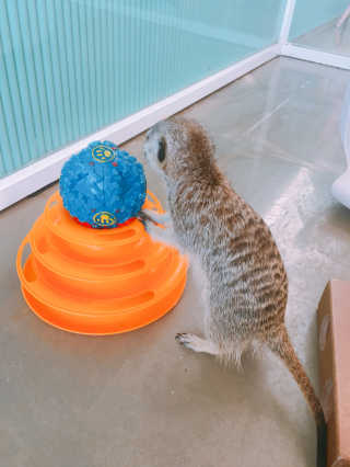 YoonheeSeo님이 올린 리뷰 사진 3