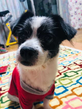 JihyeCheong님이 올린 리뷰 사진 3