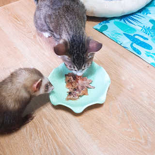 시나마나애영님이 올린 리뷰 사진 1