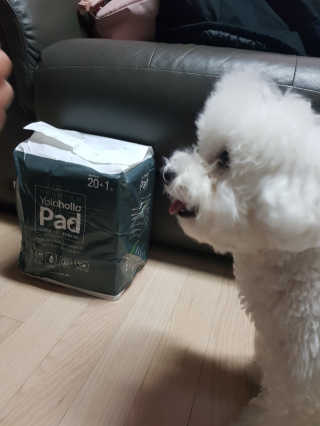 marimaria님이 올린 리뷰 사진 1