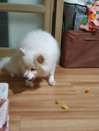 tmvksl5님이 올린 리뷰 사진 4