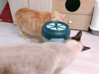바초라떼님이 올린 리뷰 사진 3
