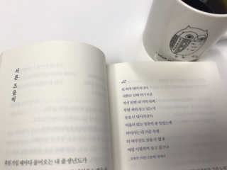 찌니맘님이 올린 리뷰 사진 2