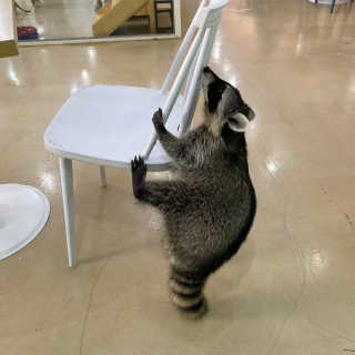 삐삐님이 올린 리뷰 사진 2