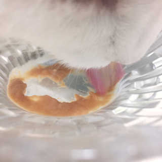 자몽이님이 올린 리뷰 사진 3