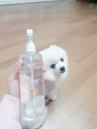 퀸민님이 올린 리뷰 사진 2