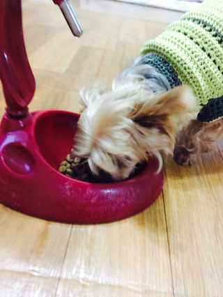 융밍님이 올린 리뷰 사진 4