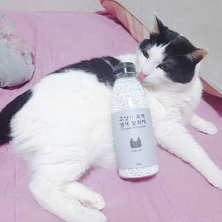 한라봉님이 올린 리뷰 사진 2