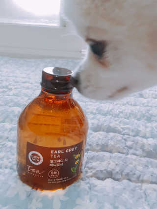 이다솜님이 올린 리뷰 사진 1