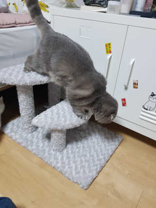 백현지님이 올린 리뷰 사진 4