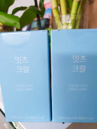 써니님이 올린 리뷰 사진 2