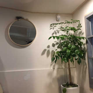 Ghhryh님이 올린 리뷰 사진 2