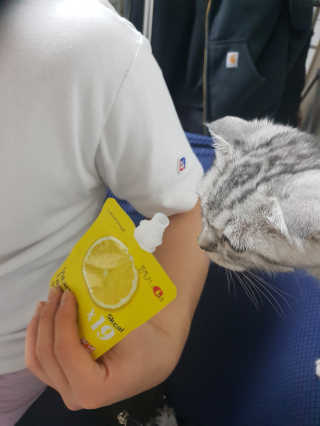 푸드마스터그룹 레모나 비타민C 곤약젤리 2종 — 5점을 준 리뷰어가 2019년 3월 올린 사용 사진