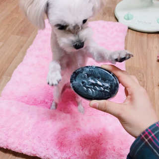 다동이님이 올린 리뷰 사진 1