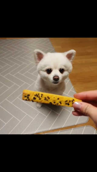 a_yom2님이 올린 리뷰 사진 1