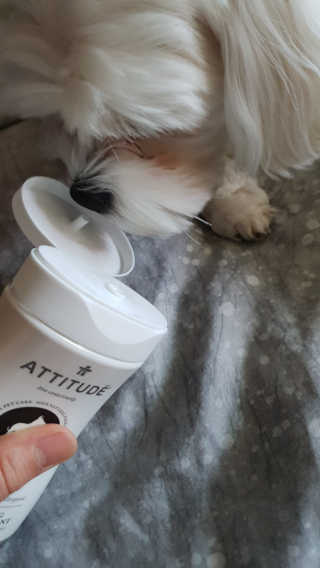 보나님이 올린 리뷰 사진 2