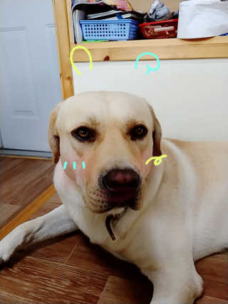 홍가짱님이 올린 리뷰 사진 3