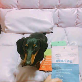 푸디웜 주식회사 [푸디웜] 강아지 저알러지 수제간식 3종세트 — 5점을 준 리뷰어가 2018년 12월 올린 사용 사진