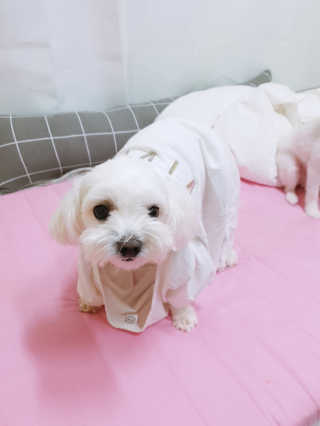 황선아님이 올린 리뷰 사진 3