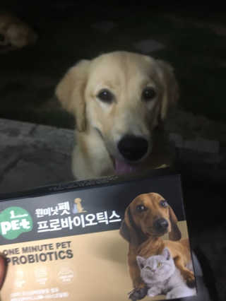 드기님이 올린 리뷰 사진 1