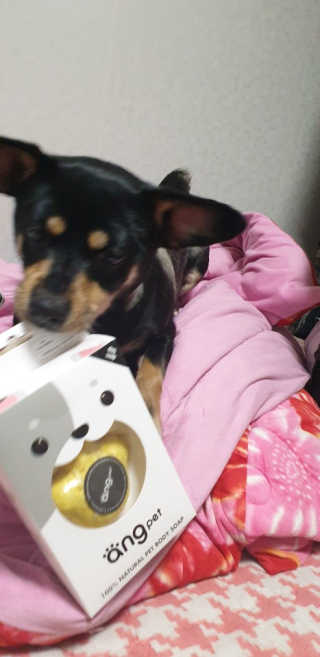 pyoxx님이 올린 리뷰 사진 3