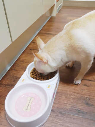 Bella님이 올린 리뷰 사진 4