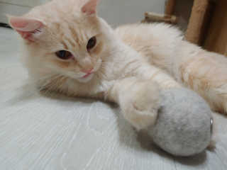 boggybok님이 올린 리뷰 사진 3