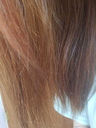 사우루스님이 올린 리뷰 사진 2