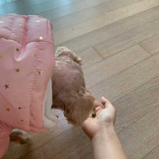 앙징징님이 올린 리뷰 사진 3