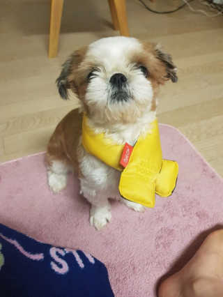 kdaee님이 올린 리뷰 사진 1