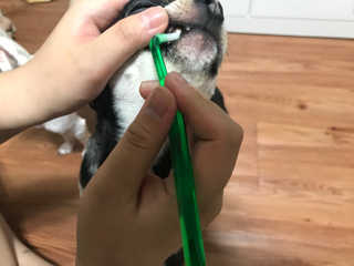뽀라님이 올린 리뷰 사진 3