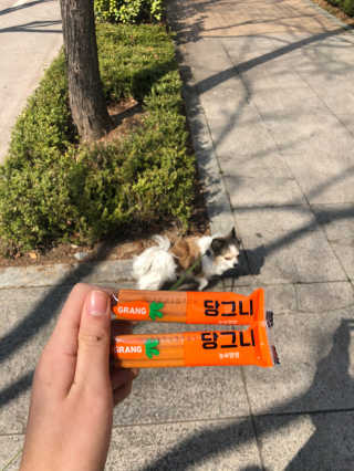 그랑 당그니 — 5점을 준 리뷰어가 2020년 3월 올린 사용 사진