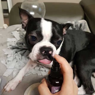연니비님이 올린 리뷰 사진 2