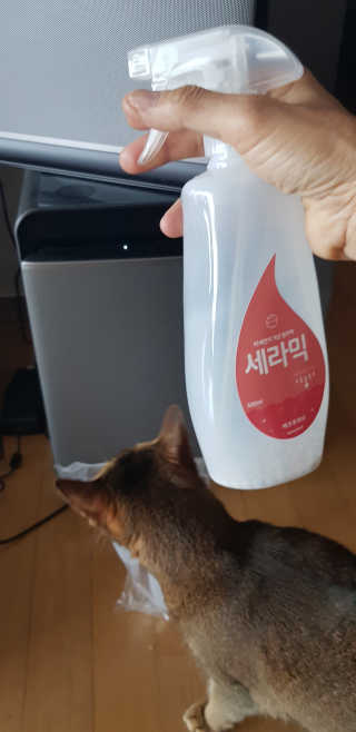 반짝님이 올린 리뷰 사진 1