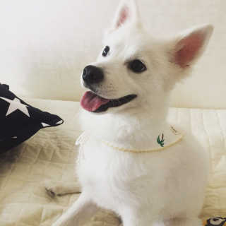 채연님이 올린 리뷰 사진 1