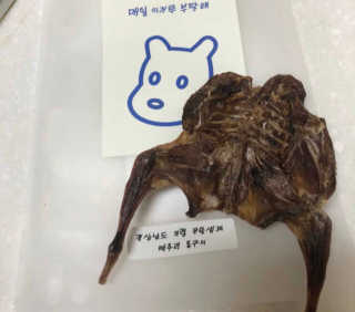 [어글어글] 반려견 친환경 간식 9종 세트 — 4.5점을 준 리뷰어가 2020년 3월 올린 사용 사진
