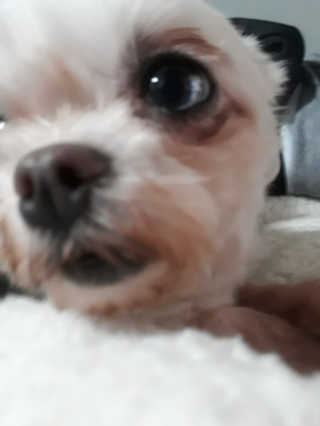 햇살pk님이 올린 리뷰 사진 4
