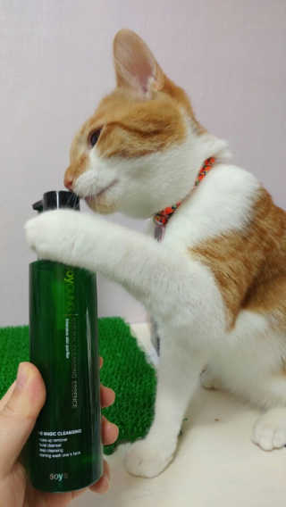 Jaehoon.y님이 올린 리뷰 사진 2