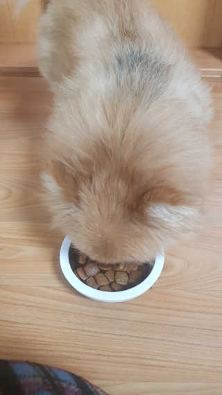 짱아언니님이 올린 리뷰 사진 2